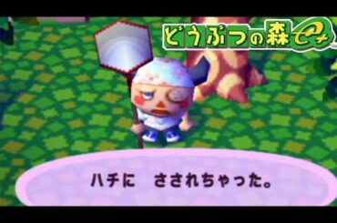 春　の　虫　ま　つ　り　 #24【どうぶつの森 e+】