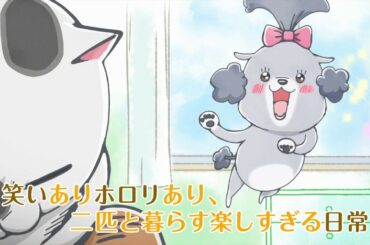 TVアニメ「犬と猫どっちも飼ってると毎日たのしい」PV第1弾