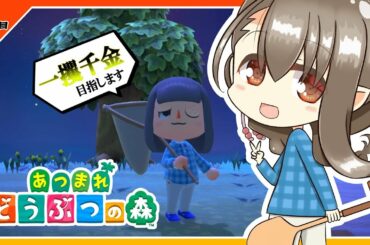 【あつまれ どうぶつの森 / ２日目】10日間で一攫千金狙います。カブで。【マイホーム編】