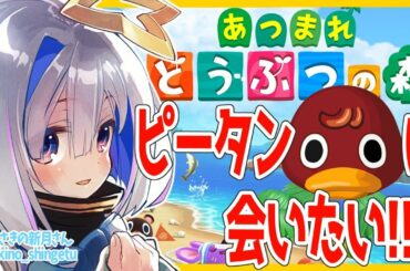 【あつまれどうぶつの森】さいかわアヒルを探しつつPP天使Tシャツを生産する天国のような島【天音かなた/ホロライブ4期生】