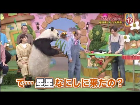 天才!志村どうぶつ園 動画　2020年3月21日　動物と心が通じる人SP　石田ゆり子が愛犬とテレビ初登場
