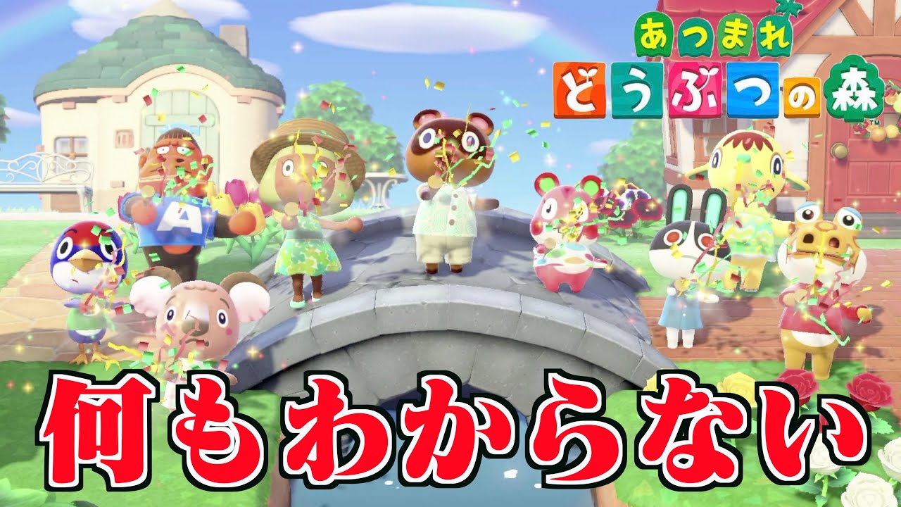 これ何が面白いの？【どうぶつの森】