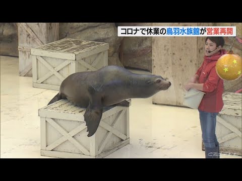 新型コロナウイルスの感染拡大防止で休館していた鳥羽水族館が再開