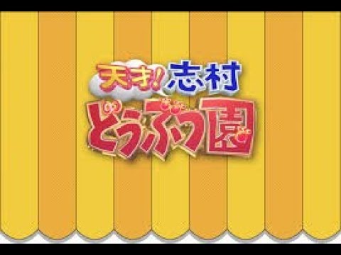 天才!志村どうぶつ園 2020年3月21日動物と心が通じる人SP▽石田ゆり子が愛犬とテレビ初登場