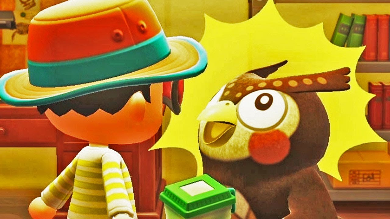 【フータ襲来？！】さかなのあつまれどうぶつの森