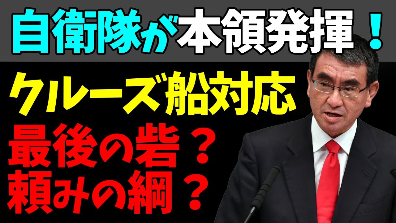 😄クルーズ船支援で魅せた！日本の最後の砦「自衛隊」！#StayHome and 📱 #WithMe