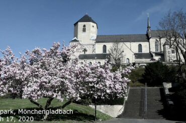 ゲーロパークに春が来た。しかし新型コロナウイルスの感染拡大防止のため店舗が閉鎖、公園にも街にも人出が少ない。Spring has come to Geropark. Less people seen.