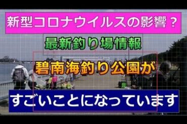 新型コロナウイルスの影響？最新釣り場情報／碧南海釣り公園（広場）がすごいことになっています！！