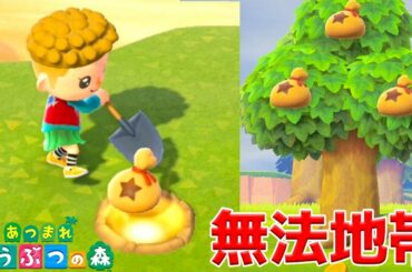 「あつまれ どうぶつの森」のダブルお金のなる木がやばすぎる【2日目】