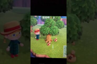 혼다 츠바사 本田翼 Instastroy 200323