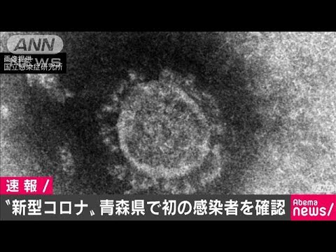 青森県で初の新型コロナウイルス感染者を確認(20/03/23)