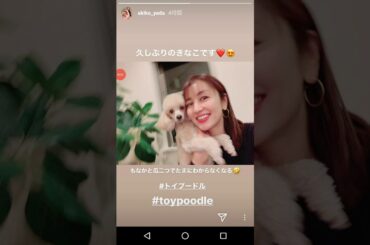 矢田亜希子 200323 インスタグラム