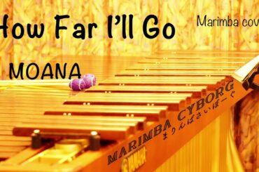 How Far I’ll Go /Moana -Marimba cover-【モアナと伝説の海】より「どこまでも〜How Far I’ll Go〜」マリンバカバー