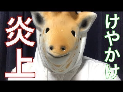 【欅坂46】けやかけ炎上について。（欅って、書けない？）