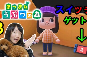 ★あつまれ　どうぶつの森　ゲーム実況③！～ひめちゃんとこちょの無人島生活パート３～★