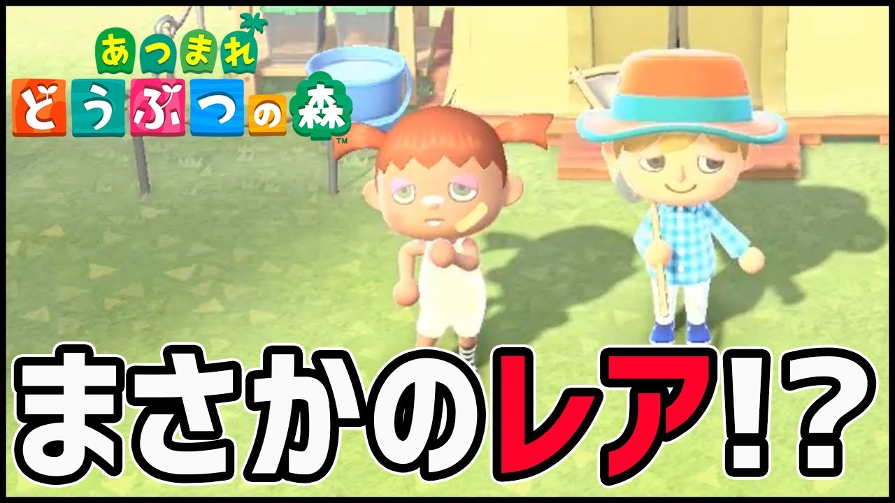 【どうぶつの森】初めてのあつ森！島に意外とレアなヤツが...！？【ぎこちゃん】