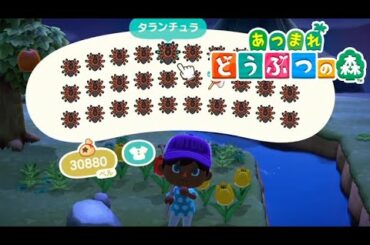 ワイがどうぶつの森のスパイダーマンや！！ #05【あつまれ どうぶつの森】
