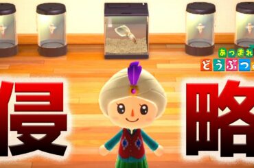 「あつまれ どうぶつの森」で僕の家がエイリアンに侵略されました...【3日目】