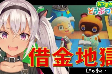 【どうぶつの森】返さなきゃ返さなきゃ返さなきゃ返さなきゃー2日目ー【魔使マオ/にじさんじ】