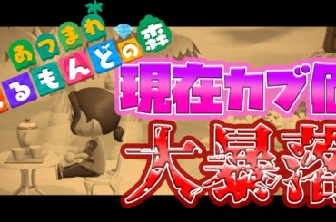 【あつまれどうぶつの森】おらたぬきィ！出てこい！！【ベルモンド・バンデラス/にじさんじ】