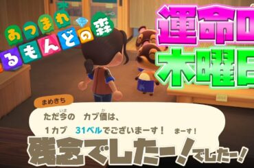 【あつまれどうぶつの森】いくぞ！未来へ！【ベルモンド・バンデラス/にじさんじ】