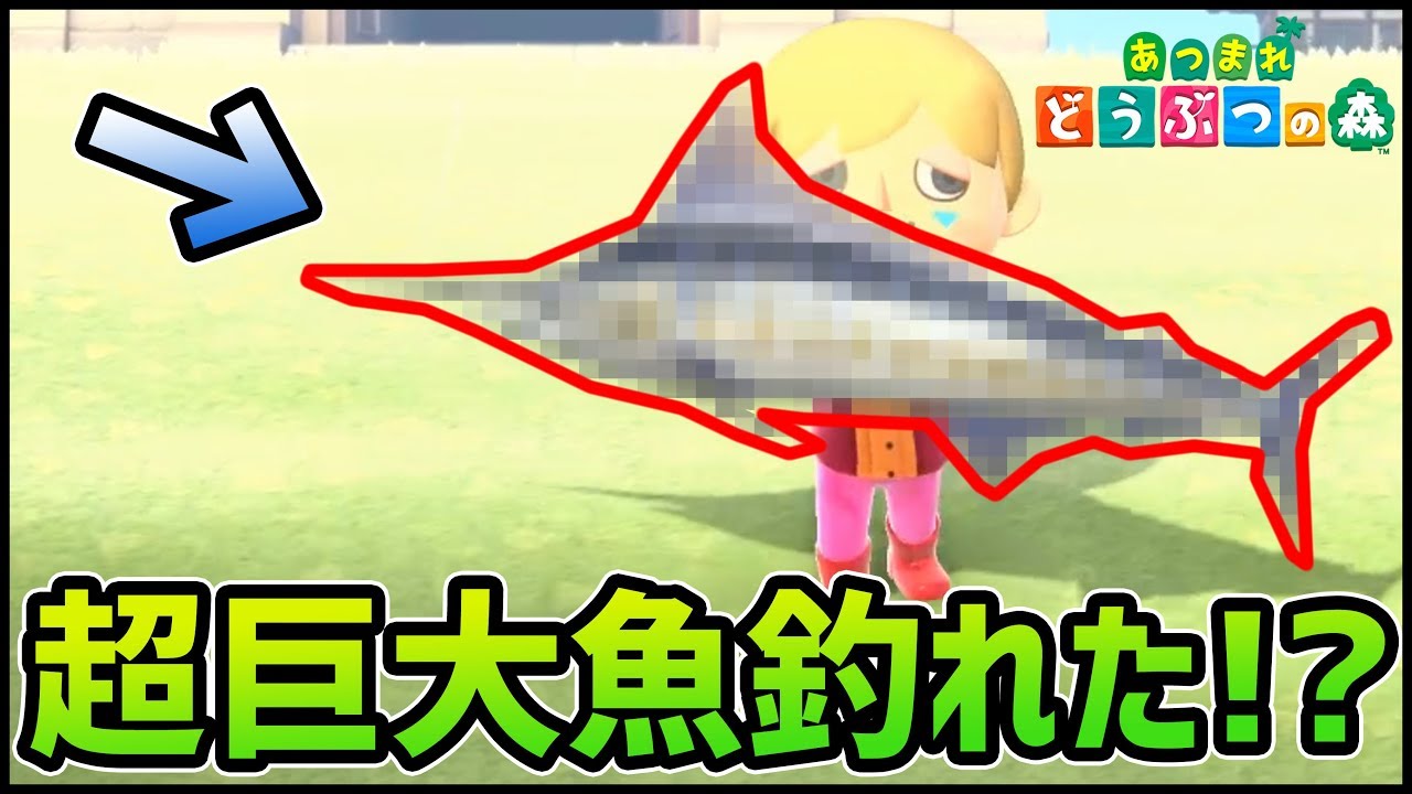 【どうぶつの森】初めての超巨大レア魚『？？？』釣れたああああ!!【ぎこちゃん】