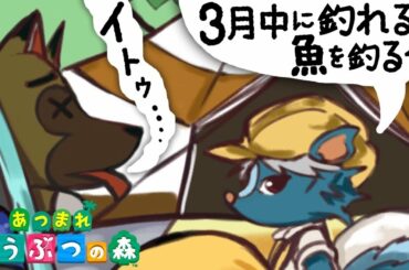 #8【あつまれどうぶつの森】「釣りざんまい」実況LIVE【あつ森/switch】