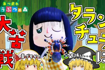 【あつまれ！どうぶつの森】タランチュラの動きが読めない( ；∀；)大苦戦　#3【ゆっくり実況】【ぽんこつちゃんねる】