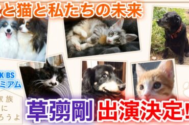 【香取慎吾　草彅剛　稲垣吾郎】【家族になろうよ】【犬と猫と私たちの未来】草彅剛がNHK BSプレミアムに出演する事が決定いたしました‼️