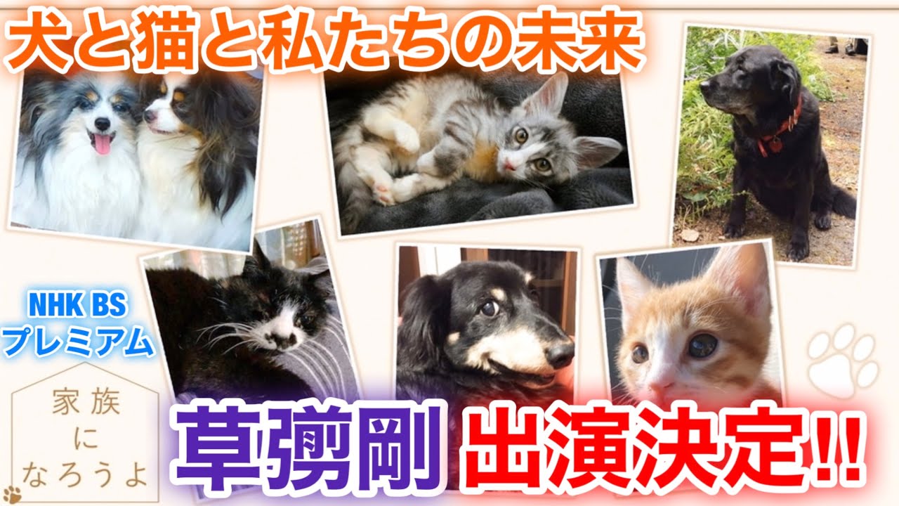 香取慎吾 草彅剛 稲垣吾郎 家族になろうよ 犬と猫と私たちの未来 草彅剛がnhk Bsプレミアムに出演する事が決定いたしました Yayafa