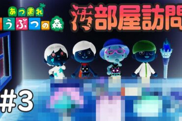 【あつまれ どうぶつの森】３日目 「みんなの島」