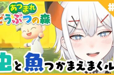 ♬２【あつまれどうぶつの森】亜・人生初のどうぶつの森に挑むゾウ♪【にじさんじ/レヴィ・エリファ】