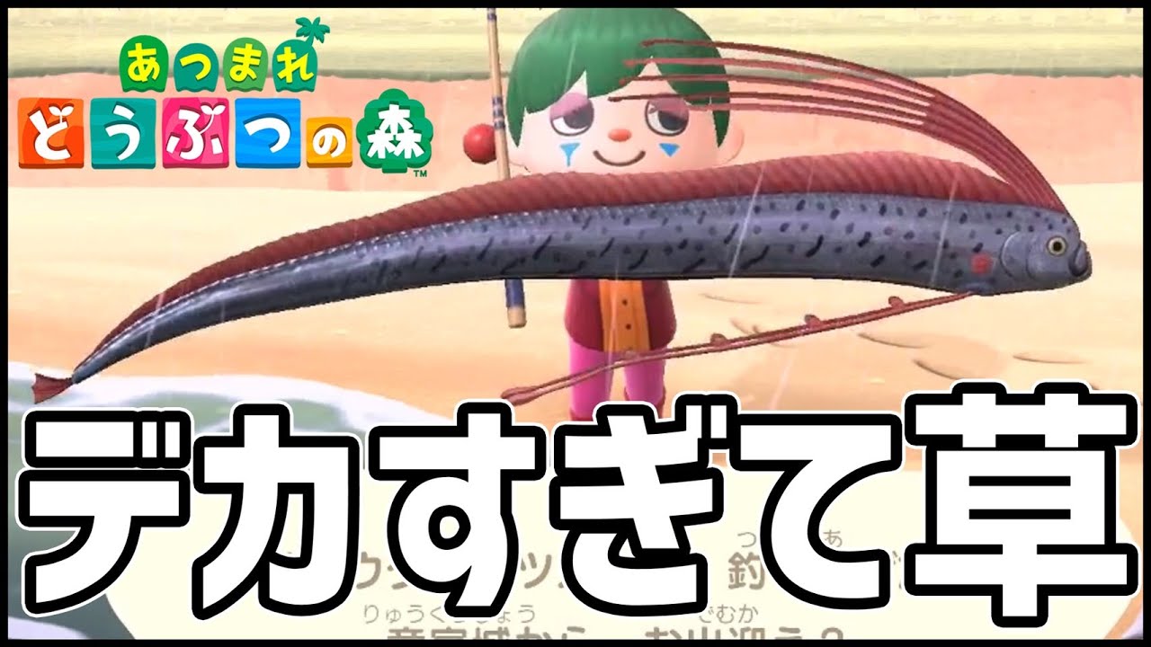 【どうぶつの森】雷雨はレア魚が多いらしい...と思ったら超デカいの来て草【ぎこちゃん】