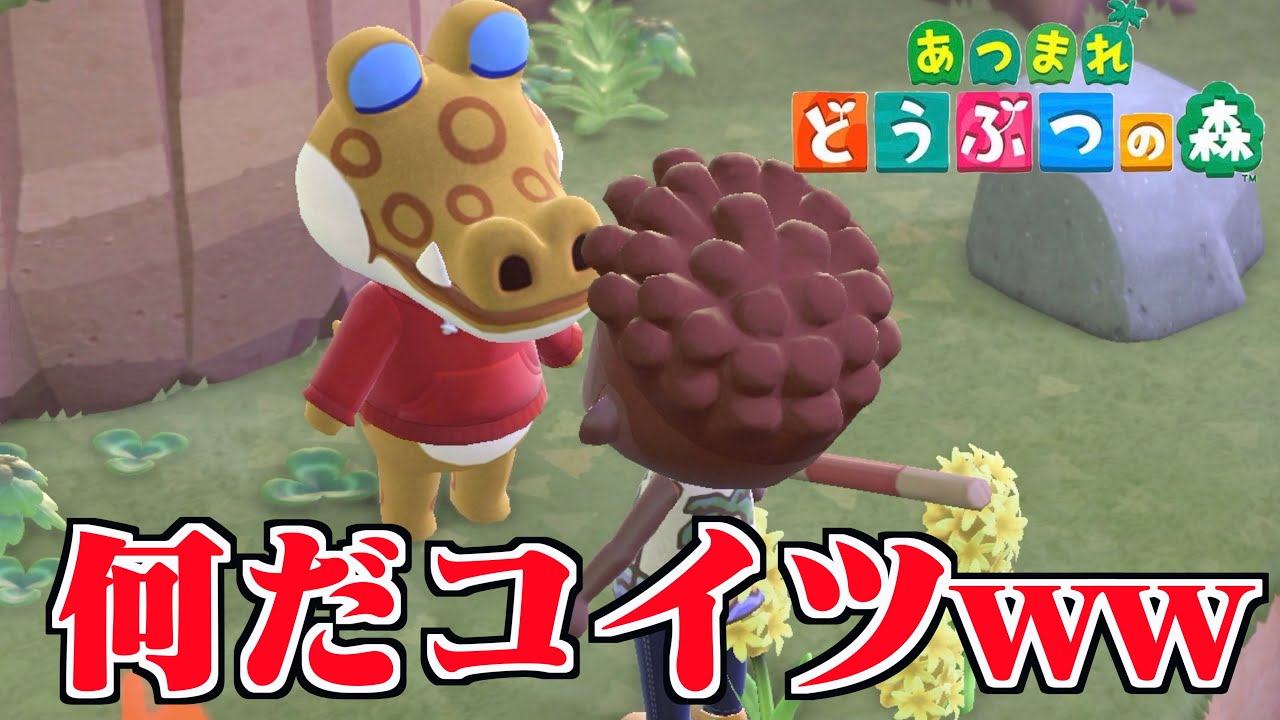 何この島【どうぶつの森】3