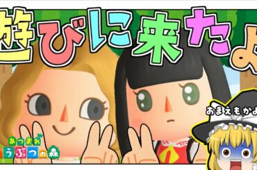 【あつまれ！どうぶつの森！】南半球は釣れる魚も違った！　#4【ゆっくり実況】【ぽんこつちゃんねる】