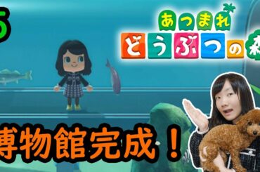 ★あつまれ　どうぶつの森　ゲーム実況⑤！～ひめちゃんとこちょの無人島生活パート５～★