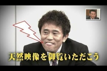 〖ガキの使い〗第2回浜田雅功 天然裁判前