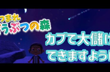 【あつまれどうぶつの森】全財産の行方はどうなる！？【ベルモンド・バンデラス/にじさんじ】