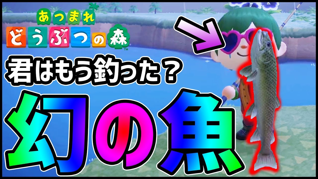 【どうぶつの森】君はもう釣った？今しか釣れない『幻の魚』を！【あつ森】
