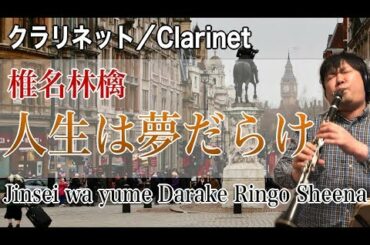 椎名林檎「人生は夢だらけ」をクラリネットで演奏してみたClarinet Cover Ma Vie, Mes Rêves - Ringo Sheena
