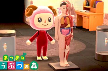 「あつまれ どうぶつの森」で行けるレアな島がやばすぎる【6日目】