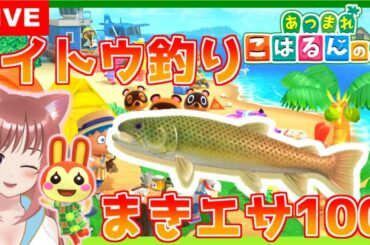 🎀#9【あつまれどうぶつの森】まきエサ１００個でイトウ釣りチャレンジ☆　あつ森 💖 こはるん実況 🚋 【HD/LIVE】Switch