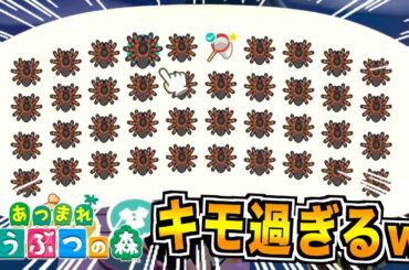 【あつまれどうぶつの森】噂のタランチュラ島が想像以上にヤバかったww