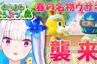 【あつまれどうぶつの森】4月だ！イースターだ！あのウサギがやってくる！！【にじさんじ/リゼ・ヘルエスタ】