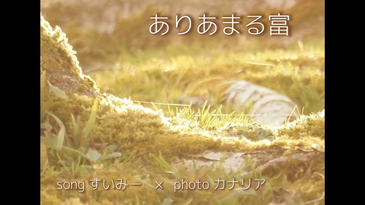 ♯1 椎名林檎『ありあまる富 』アコギver. （ songすいみー　×    photo カナリア ）