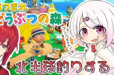 【あつまれどうぶつの森】アンジュと釣り！はじめての北半球(・ω・)ノ【椎名唯華/にじさんじ】