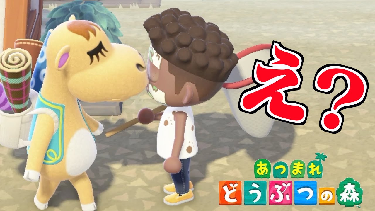 お前いきなり何すんだよ【どうぶつの森】