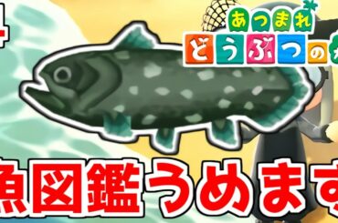 【あつまれどうぶつの森】博物館を完成させなきゃいけないんだよ！ 4【あつ森】