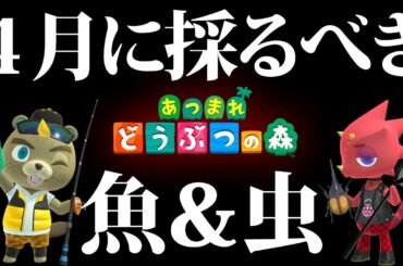 【あつまれどうぶつの森】4月に採るべき魚＆虫まとめ！値段/入手場所！！【あつ森】