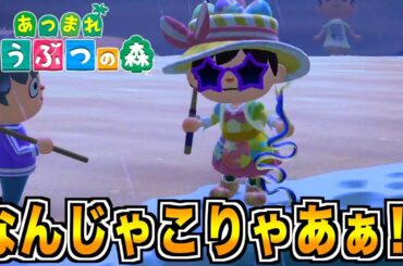 【あつまれどうぶつの森】初めての南半球で新生物達と出会いまくる！！